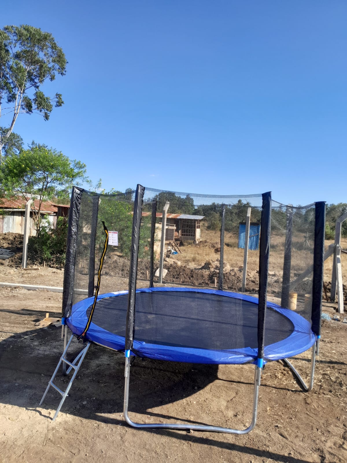 10 Feet Trampoline with Ladder | 300kg Capacity Outdoor Trampoline